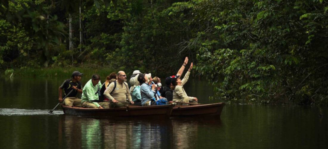 A skiff full of passengers admiring the tropical foliage